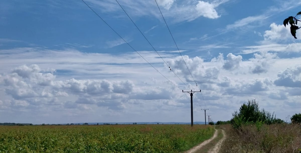 Rețele Electrice Dobrogea installs bird protection systems in Călărași County 